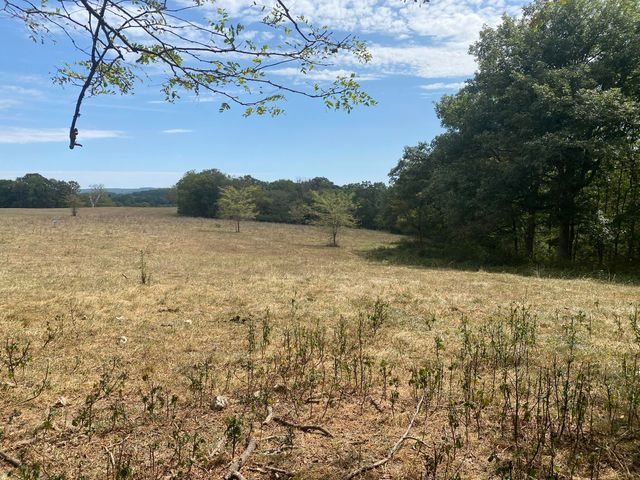 10232 County Road 211-East 76, Ava, MO 65608