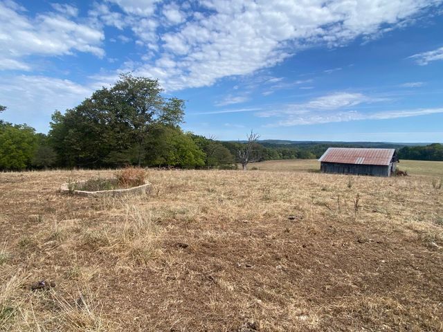 10232 County Road 211-East 76, Ava, MO 65608