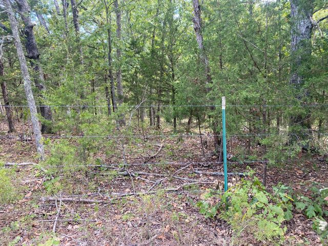 10232 County Road 211-East 76, Ava, MO 65608