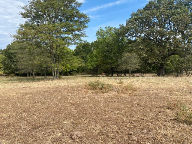 10232 County Road 211-East 76, Ava, MO 65608