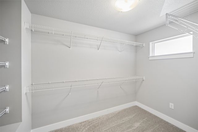 4106 NE Timber Lane, Ankeny, IA 50021