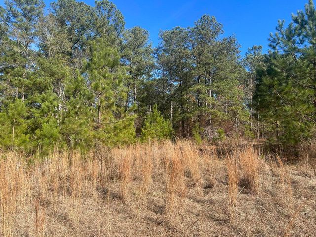 000 Off Fairway Drive, New Ellenton, SC 29809