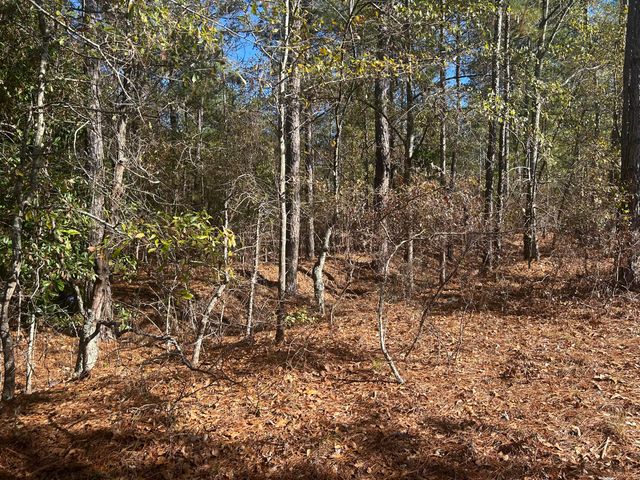 000 Off Fairway Drive, New Ellenton, SC 29809