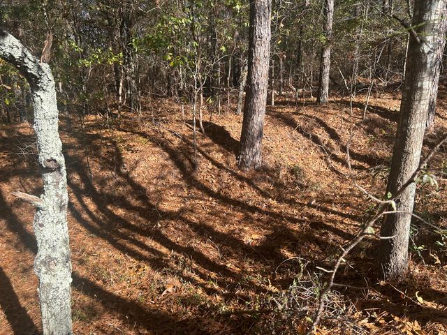 000 Off Fairway Drive, New Ellenton, SC 29809