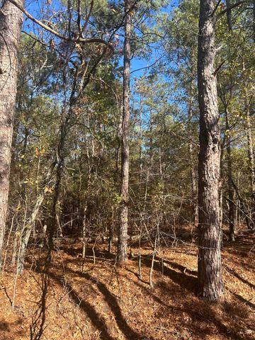 000 Off Fairway Drive, New Ellenton, SC 29809