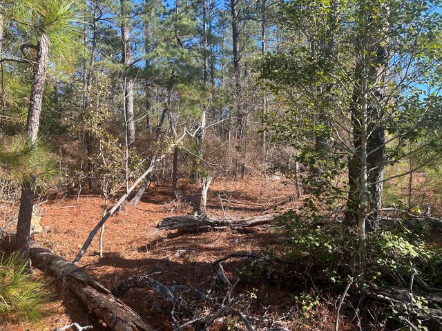 000 Off Fairway Drive, New Ellenton, SC 29809