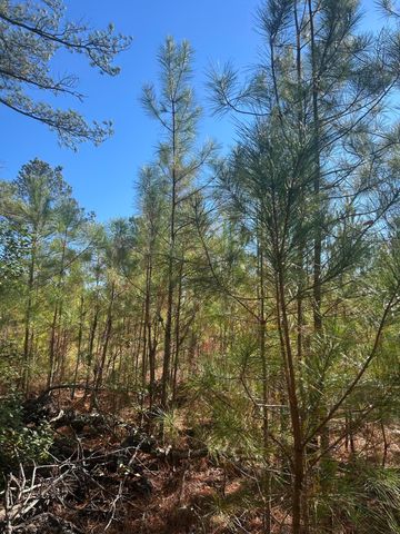 000 Off Fairway Drive, New Ellenton, SC 29809