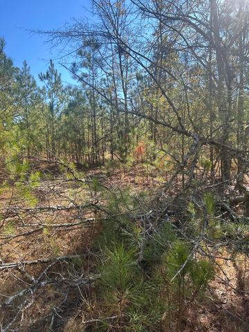 000 Off Fairway Drive, New Ellenton, SC 29809