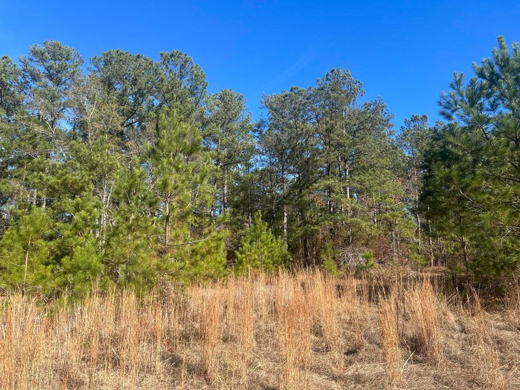 000 Off Fairway Drive, New Ellenton, SC 29809