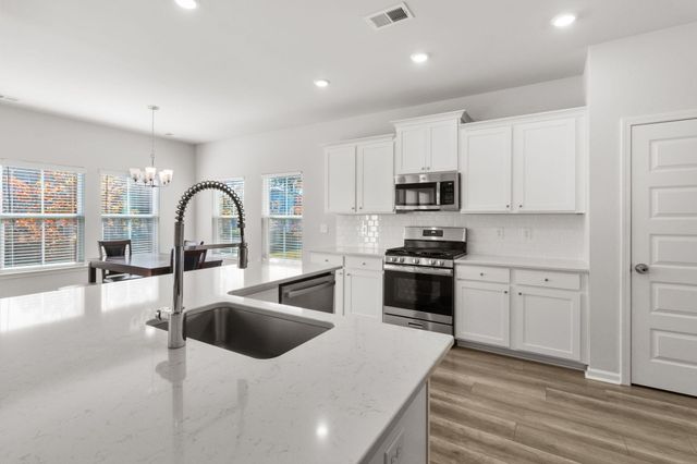 225 Red Bluff Street, Summerville, SC 29483