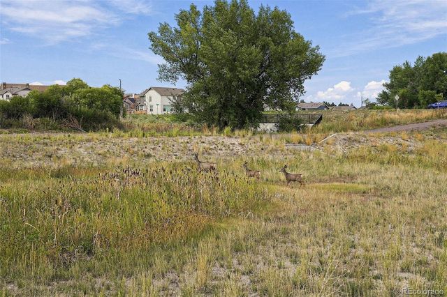 903 W Beverly Street, Elizabeth, CO 80107