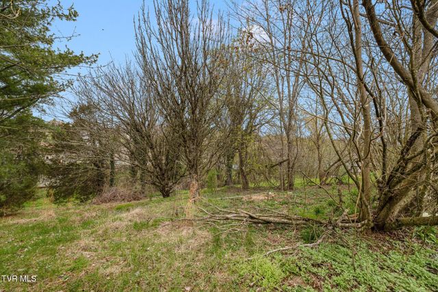 1069 Gray Station Road, Gray, TN 37615