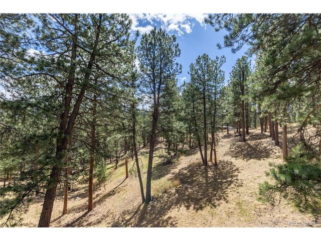 302 Cottonwood Dr, Evergreen, CO 80439