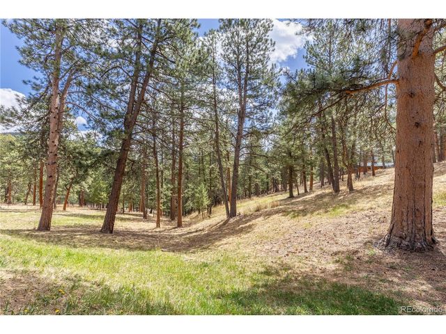 302 Cottonwood Dr, Evergreen, CO 80439