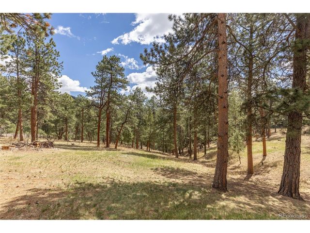 302 Cottonwood Dr, Evergreen, CO 80439
