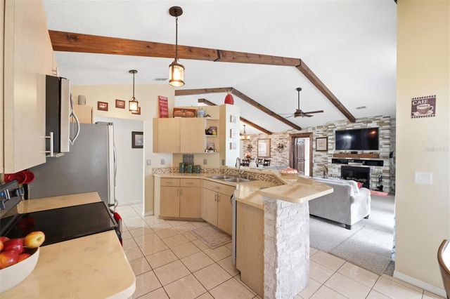 13363 SPRING HILL DRIVE, Spring Hill, FL 34609
