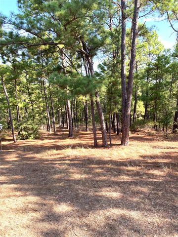 132 Akaloa DR, Bastrop, TX 78602
