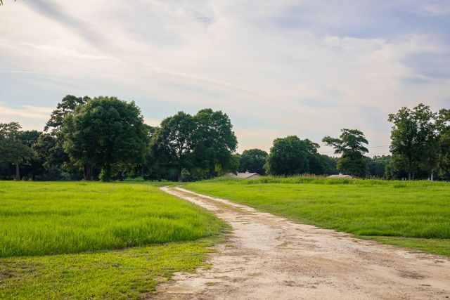 500 Burkelo Road, Wagener, SC 29164