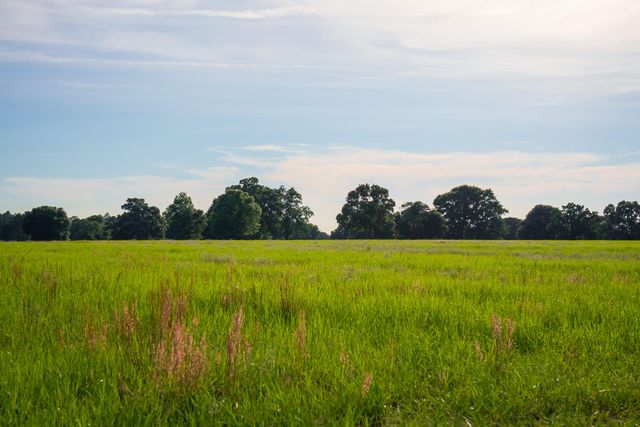 500 Burkelo Road, Wagener, SC 29164