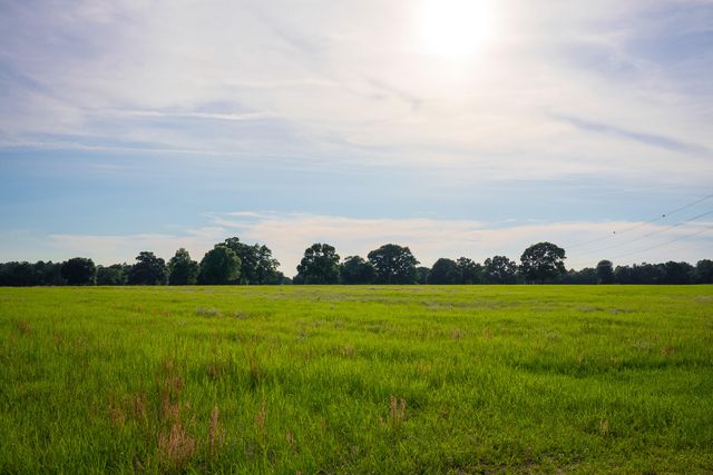 500 Burkelo Road, Wagener, SC 29164