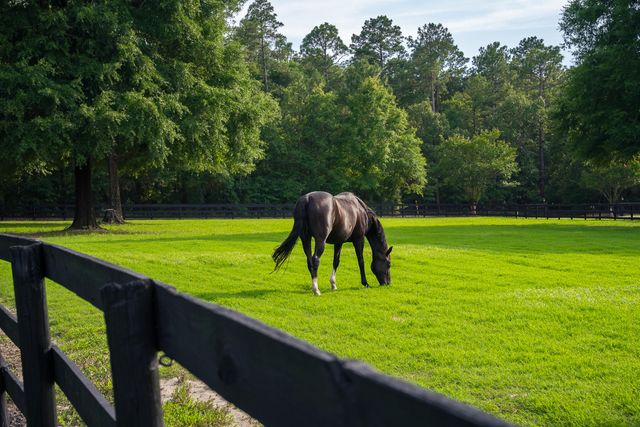 500 Burkelo Road, Wagener, SC 29164