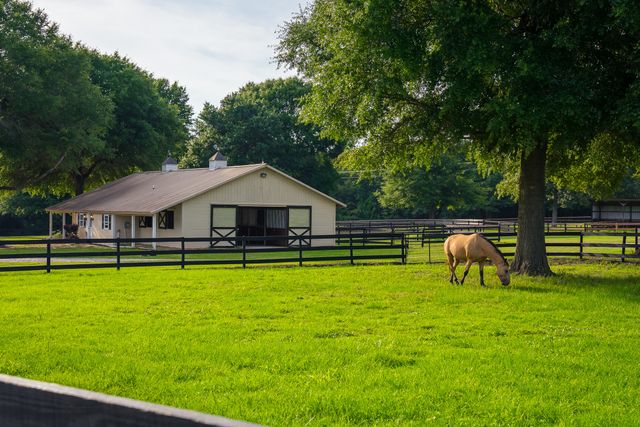 500 Burkelo Road, Wagener, SC 29164