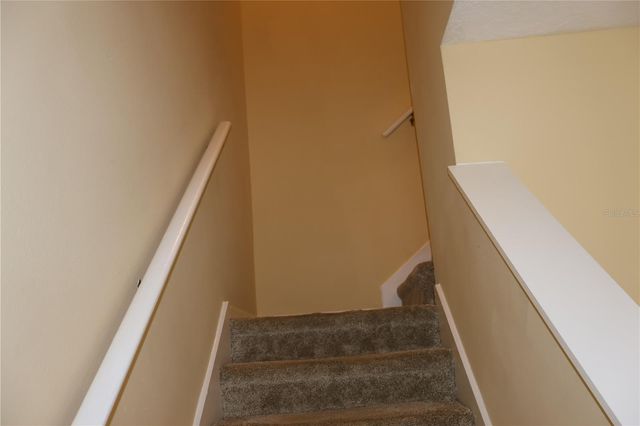 3019 POINTEVIEW DRIVE, Tampa, FL 33611