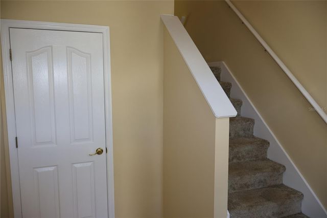 3019 POINTEVIEW DRIVE, Tampa, FL 33611