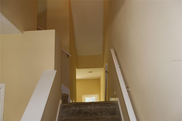 3019 POINTEVIEW DRIVE, Tampa, FL 33611