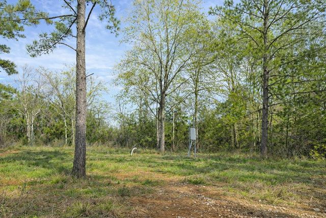 8133 N Cr 100, Leona, TX 75850