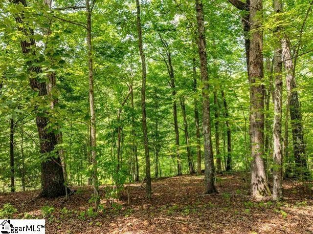 67 & 68 Wildflower Lane, Travelers Rest, SC 29690