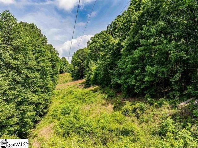 67 & 68 Wildflower Lane, Travelers Rest, SC 29690