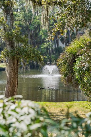 485 Sea Cloud Circle, Edisto Island, SC 29438