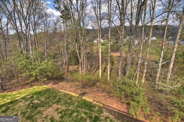 186 Meadow Circle, Ellijay, GA 30540