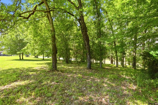 Lot 7 & 8 Pleasant View Rd, Winnsboro, TX 75494