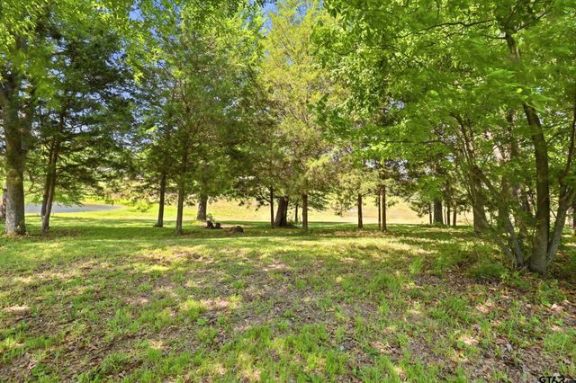 Lot 7 & 8 Pleasant View Rd, Winnsboro, TX 75494