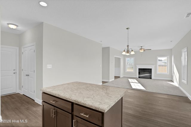 805 Calebs Creek Court, Maysville, NC 28555