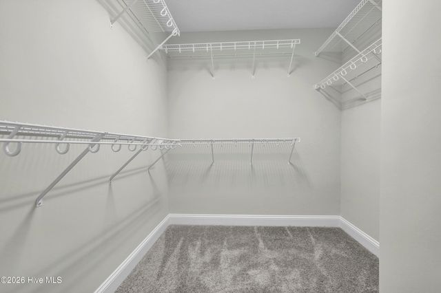 805 Calebs Creek Court, Maysville, NC 28555