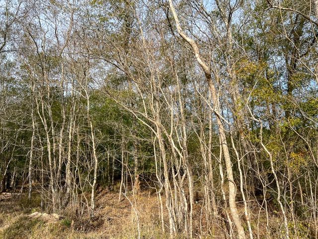 T-3 Tall Cotton Road, Saratoga, TX 77585