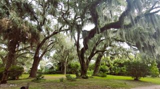 1106 11th Street, Port Royal, SC 29935