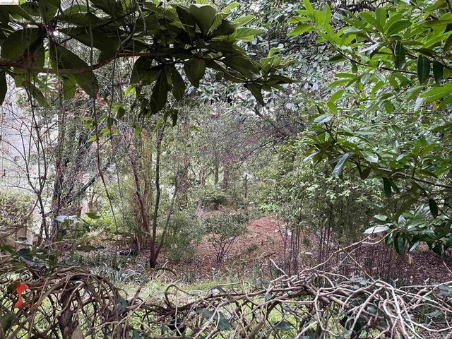 962 Regal Rd, Berkeley, CA 94708