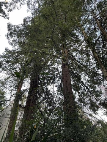 962 Regal Rd, Berkeley, CA 94708