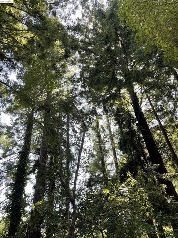 962 Regal Rd, Berkeley, CA 94708