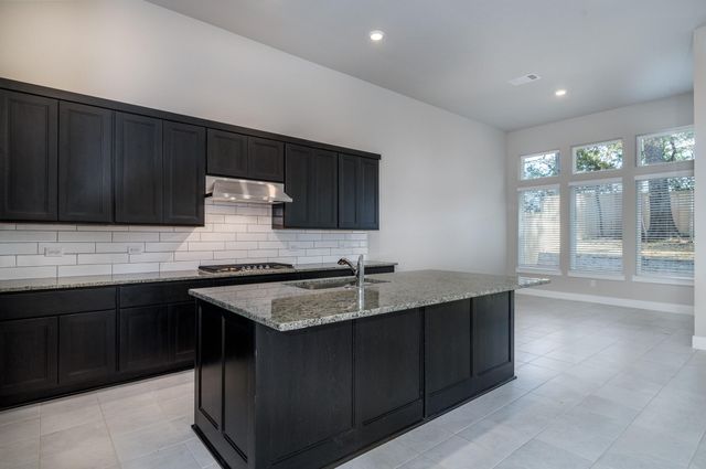 1723 Divino Pass, Conroe, TX 77304