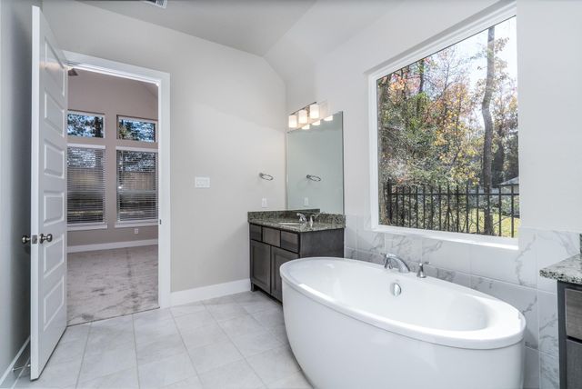 1723 Divino Pass, Conroe, TX 77304