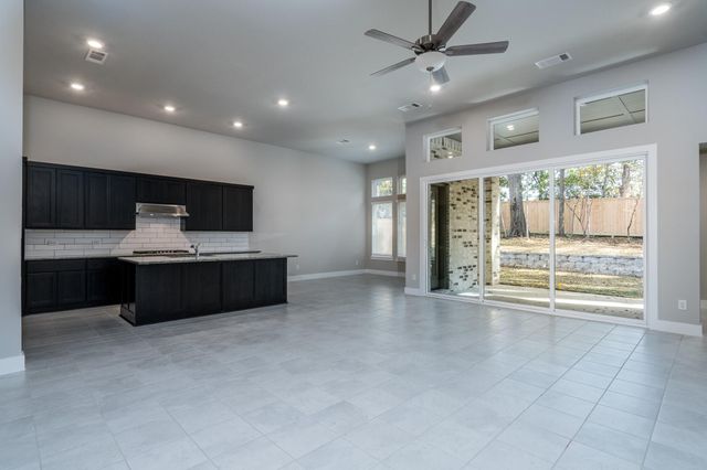 1723 Divino Pass, Conroe, TX 77304