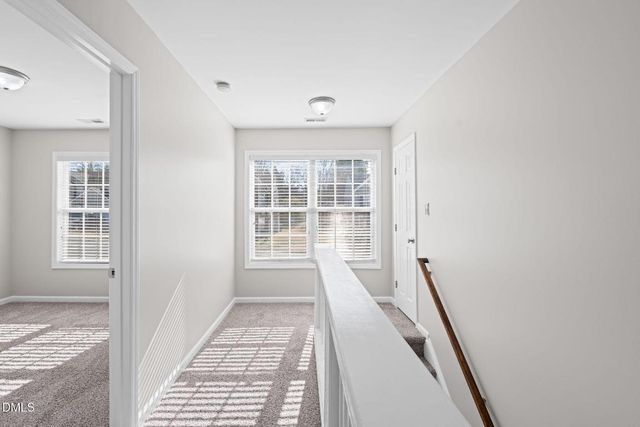 4112 Bay Rum Lane, Raleigh, NC 27610