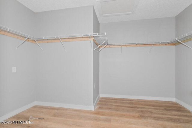 3135 SOUTEL Drive, Jacksonville, FL 32208