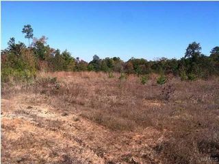 18448 Thoroughbred, Vance, AL 35490