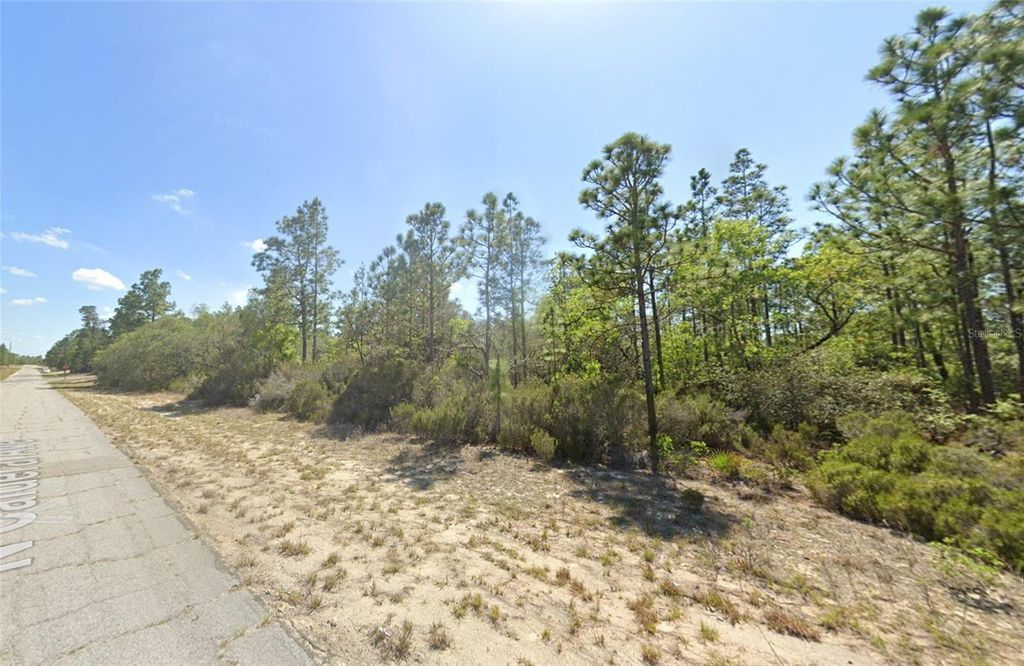 10660 N CALDERA AVENUE, Dunnellon, FL 34433